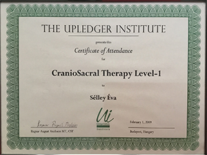Certification of Craniosacral Therapy Level 1