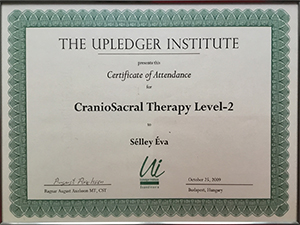 Certification of Craniosacral Therapy Level 2